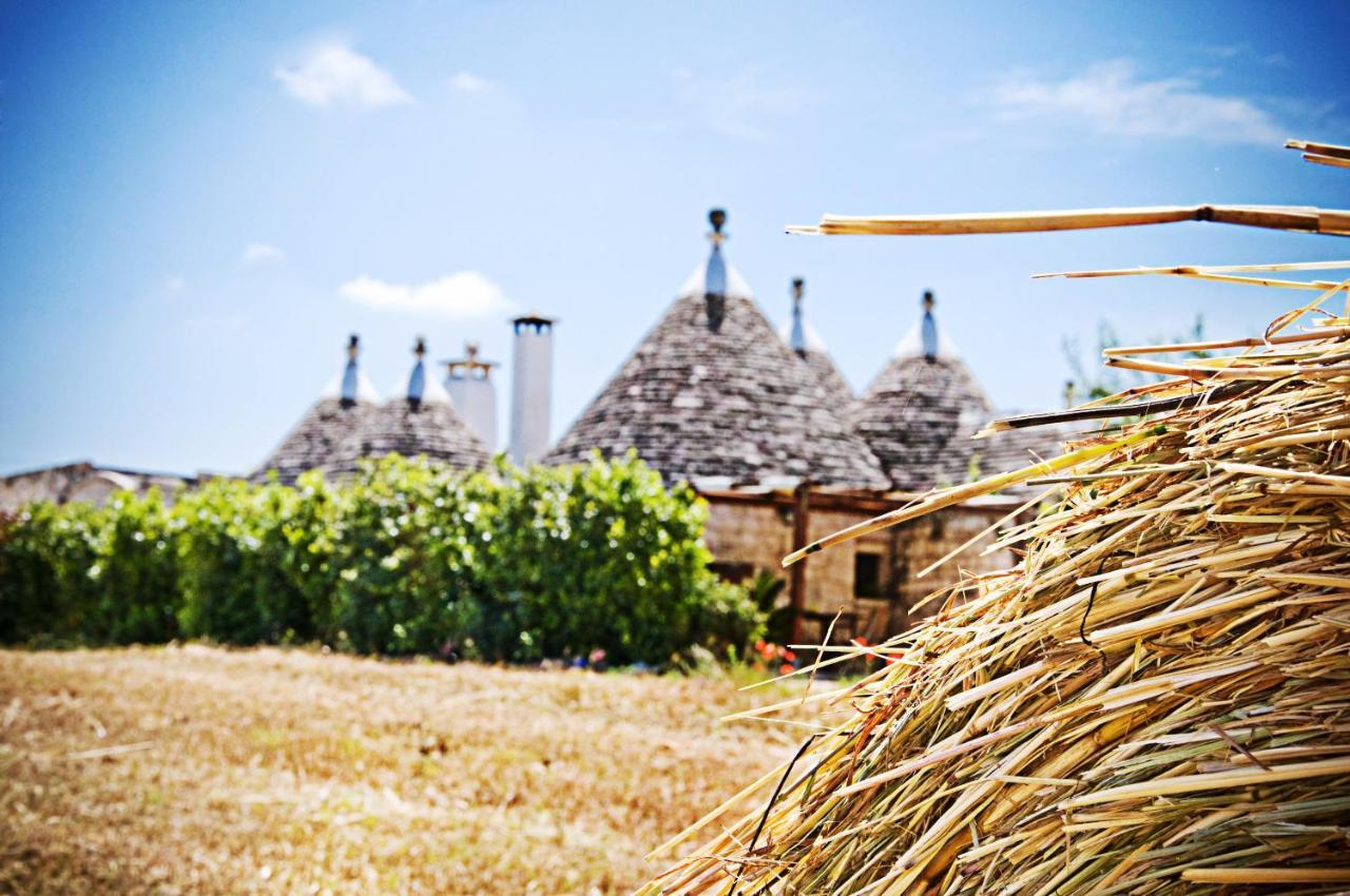 마르티나프란카 Trulli Il Castagno 게스트하우스 외부 사진
