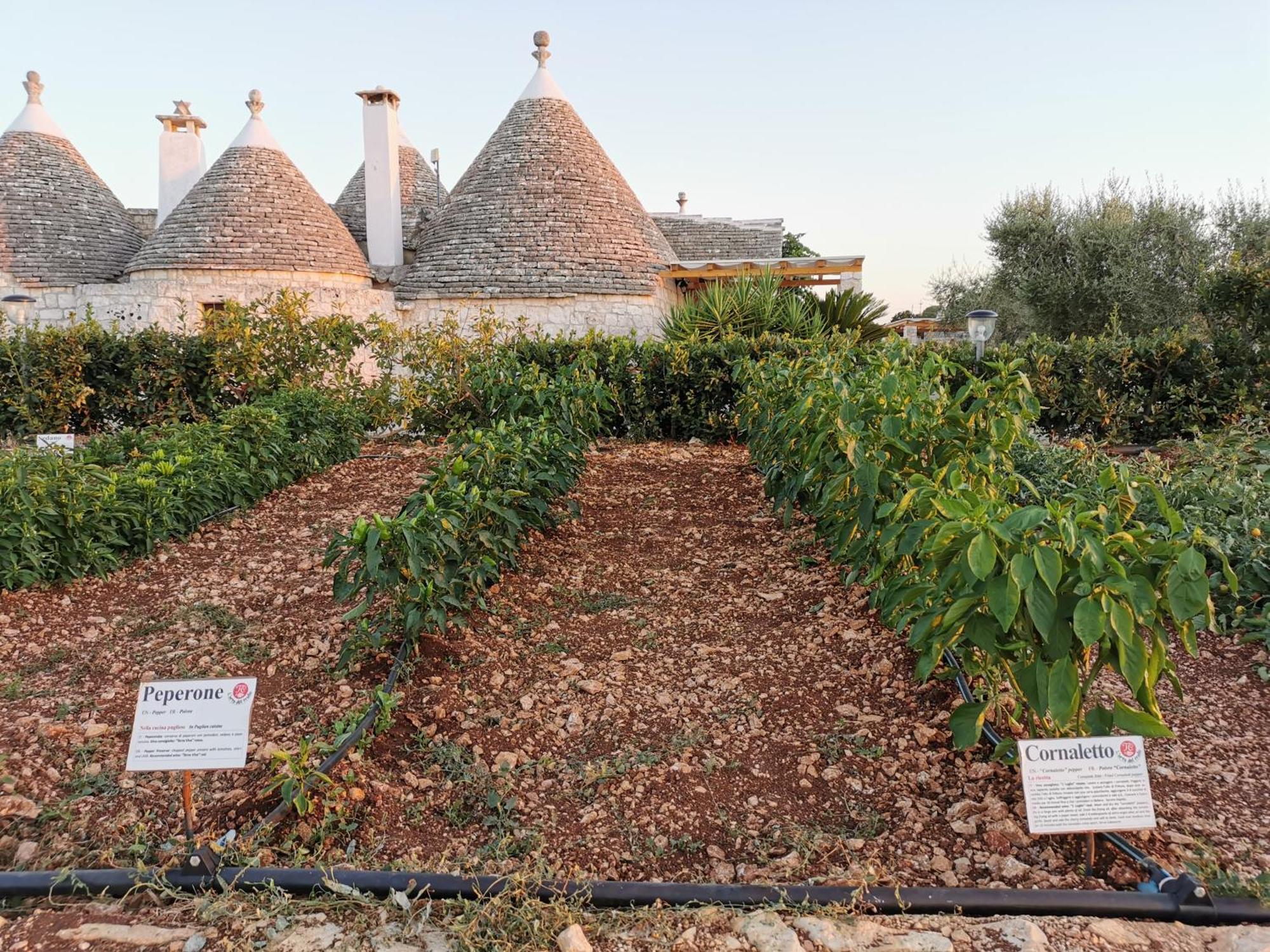 마르티나프란카 Trulli Il Castagno 게스트하우스 외부 사진