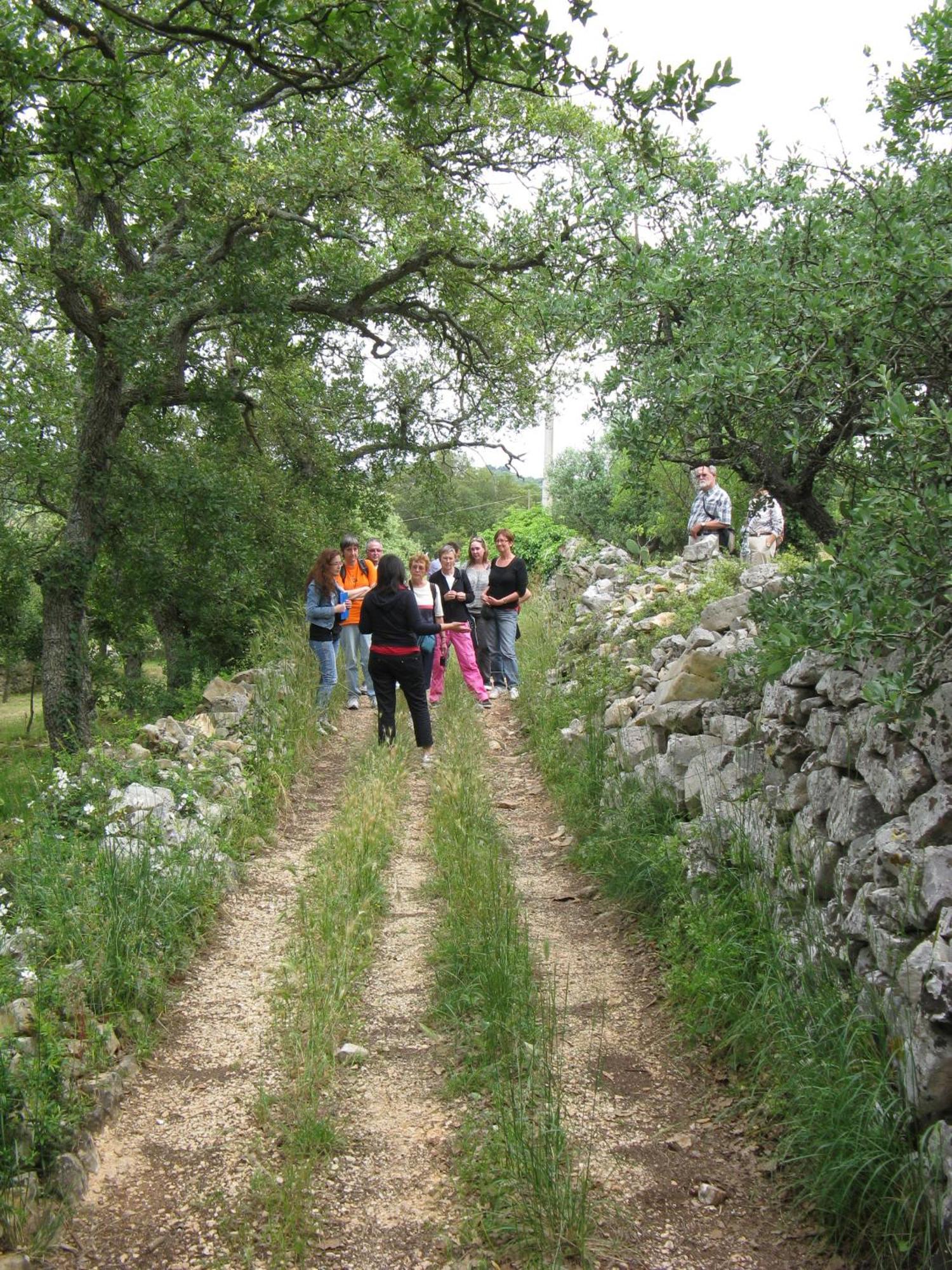 마르티나프란카 Trulli Il Castagno 게스트하우스 외부 사진